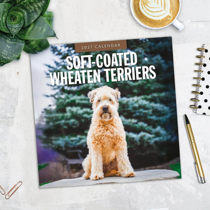 Red Robin Softcoated Wheaten Terrier Kalender 2027