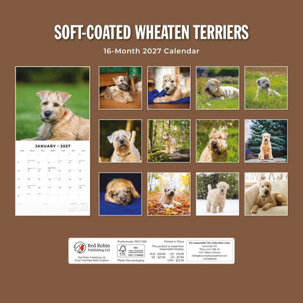 Red Robin Softcoated Wheaten Terrier Kalender 2027