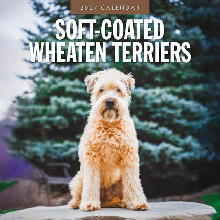 Red Robin Softcoated Wheaten Terrier Kalender 2027