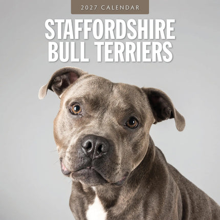 Red Robin Staffordshire Bull Terrier Kalender 2027