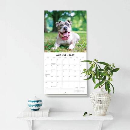 Red Robin Staffordshire Bull Terrier Kalender 2027