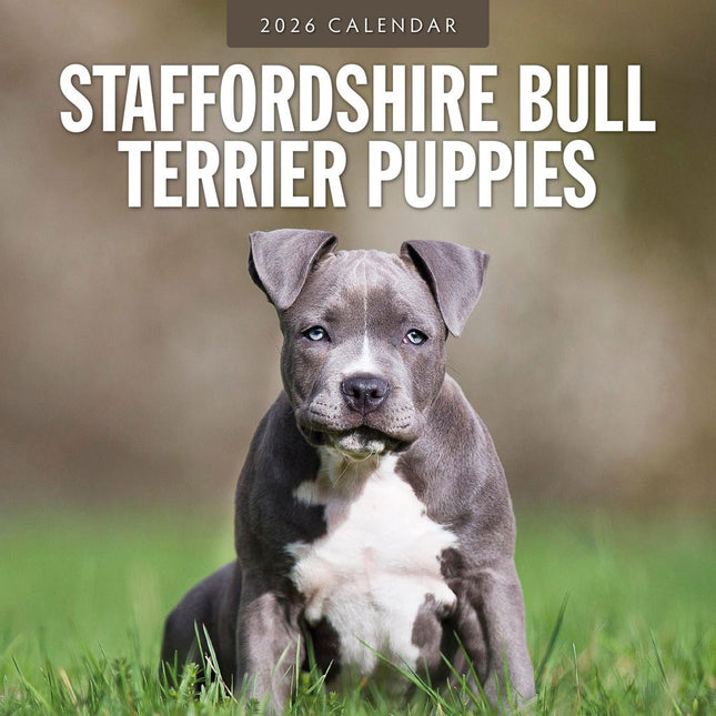 Red Robin Staffordshire Bull Terrier Puppies Kalender 2026