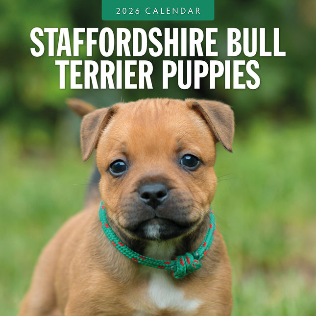 Red Robin Staffordshire Bull Terrier Puppies Kalender 2026