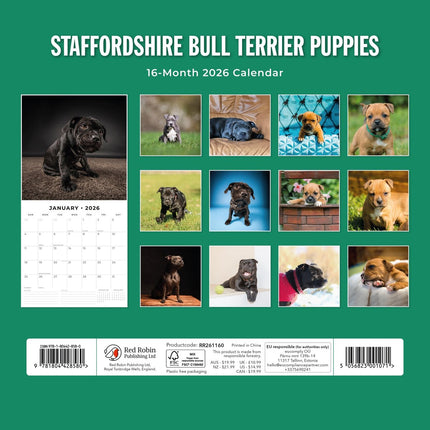 Red Robin Staffordshire Bull Terrier Puppies Kalender 2026