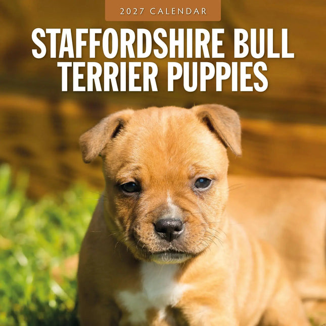 Red Robin Staffordshire Bull Terrier Puppies Kalender 2027