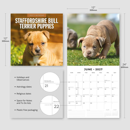 Red Robin Staffordshire Bull Terrier Puppies Kalender 2027