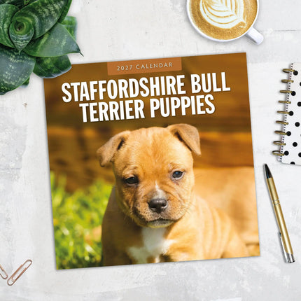 Red Robin Staffordshire Bull Terrier Puppies Kalender 2027