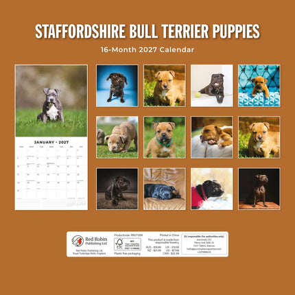 Red Robin Staffordshire Bull Terrier Puppies Kalender 2027