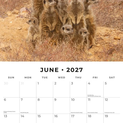 Red Robin Stokstaartjes Kalender 2027