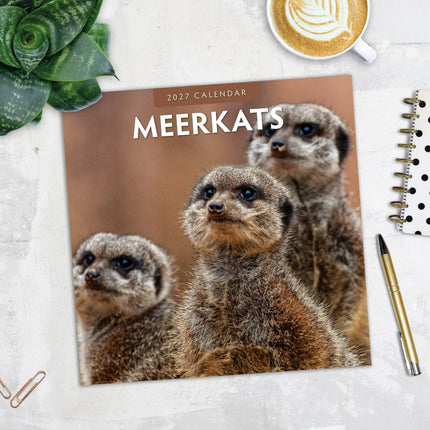 Red Robin Stokstaartjes Kalender 2027