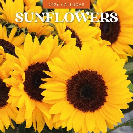 Red Robin Sunflowers Kalender 2026