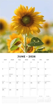 Red Robin Sunflowers Kalender 2026