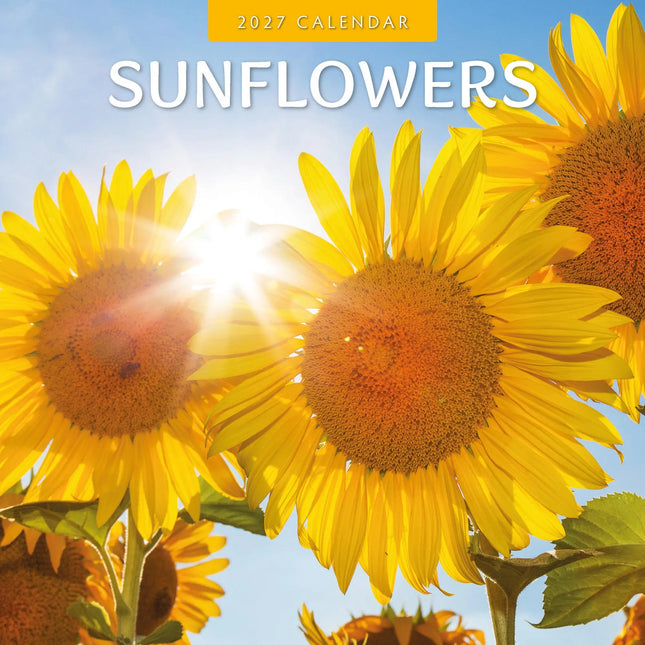 Red Robin Sunflowers Kalender 2027