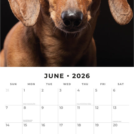 Red Robin Teckel Kalender 2027