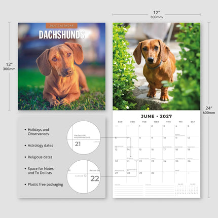 Red Robin Teckel Kalender 2027