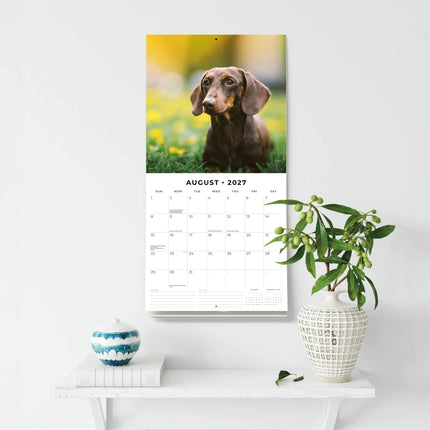 Red Robin Teckel Kalender 2027
