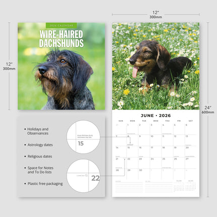 Red Robin Teckel Ruwhaar Kalender 2026