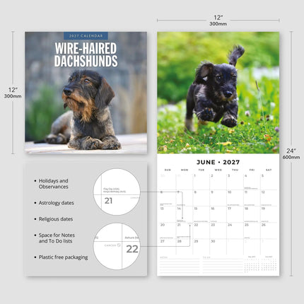 Red Robin Teckel Ruwhaar Kalender 2027