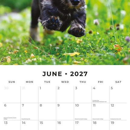 Red Robin Teckel Ruwhaar Kalender 2027