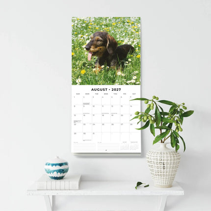 Red Robin Teckel Ruwhaar Kalender 2027