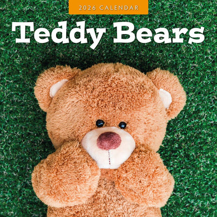 Red Robin Teddy Bears Kalender 2025
