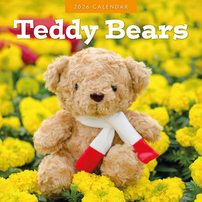 Red Robin Teddy Bears Kalender 2026