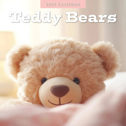 Red Robin Teddy Bears Kalender 2027