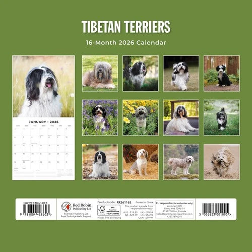 Red Robin Tibetaanse Terrier Kalender 2026