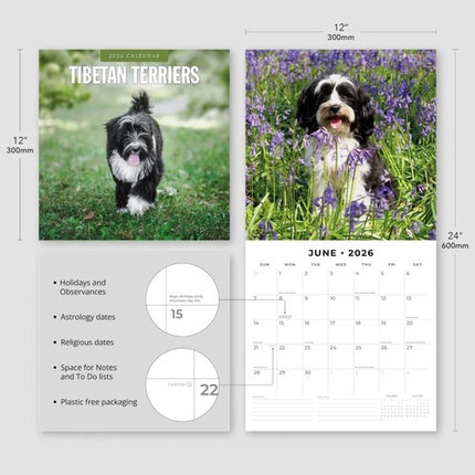 Red Robin Tibetaanse Terrier Kalender 2026