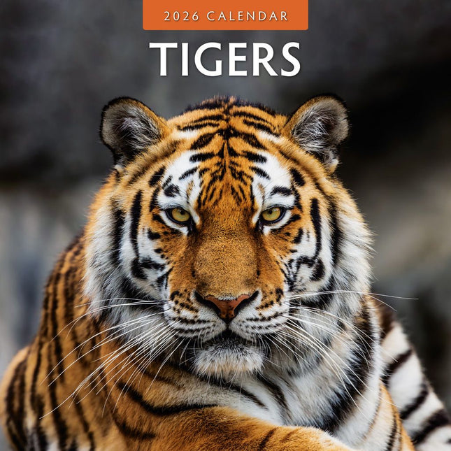 Red Robin Tijger Kalender 2026