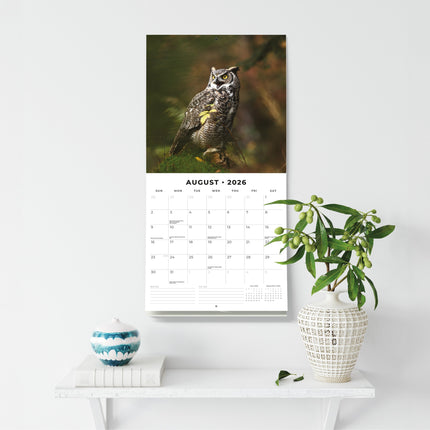 Red Robin Uilen Kalender 2026
