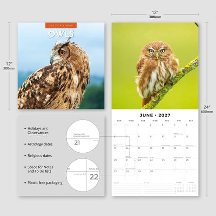Red Robin Uilen Kalender 2027