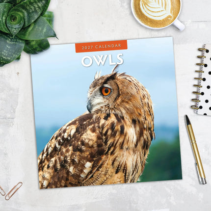Red Robin Uilen Kalender 2027
