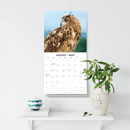 Red Robin Uilen Kalender 2027