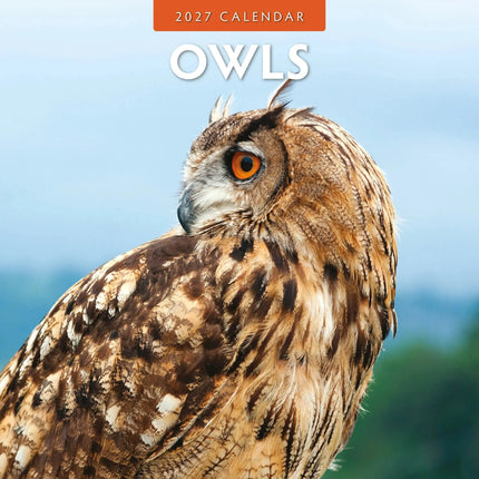 Red Robin Uilen Kalender 2027