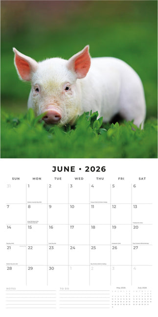 Red Robin Varken Kalender 2026