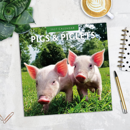 Red Robin Varken Kalender 2027