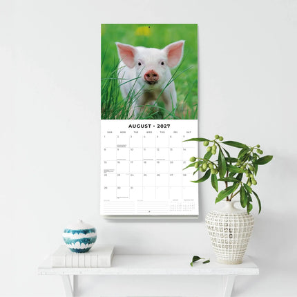 Red Robin Varken Kalender 2027