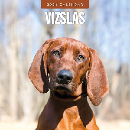 Red Robin Vizsla Kalender 2026