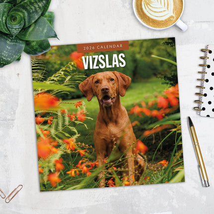 Red Robin Vizsla Kalender 2026