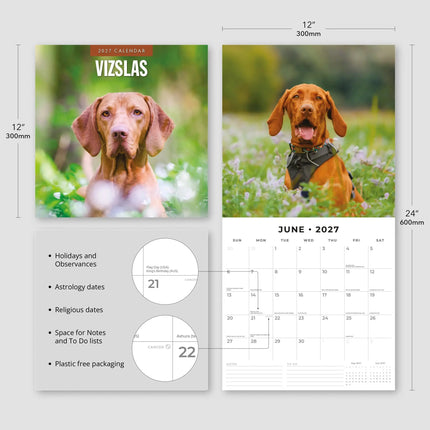 Red Robin Vizsla Kalender 2027