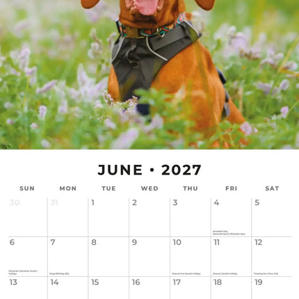 Red Robin Vizsla Kalender 2027