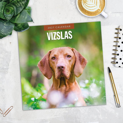 Red Robin Vizsla Kalender 2027
