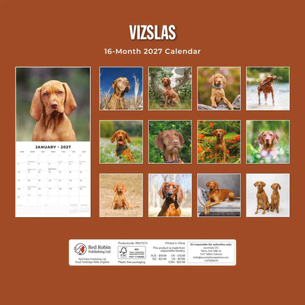 Red Robin Vizsla Kalender 2027
