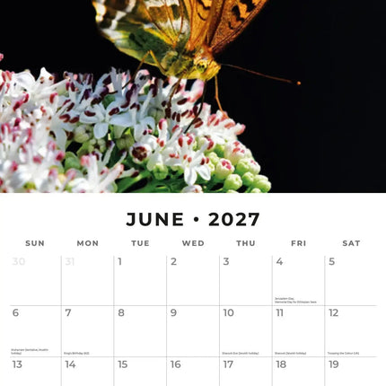 Red Robin Vlinders Kalender 2027