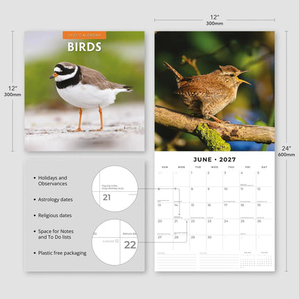 Red Robin Vogels Kalender 2027