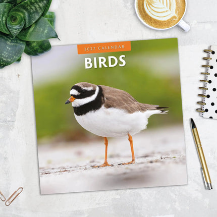 Red Robin Vogels Kalender 2027