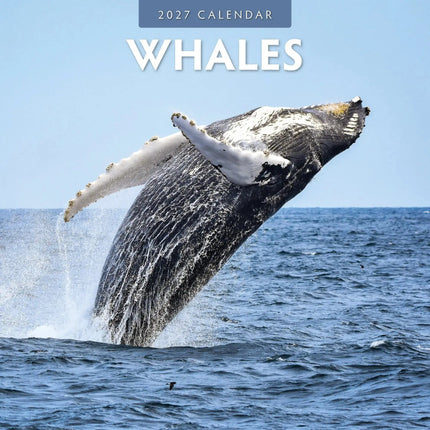 Red Robin Walvissen Kalender 2027