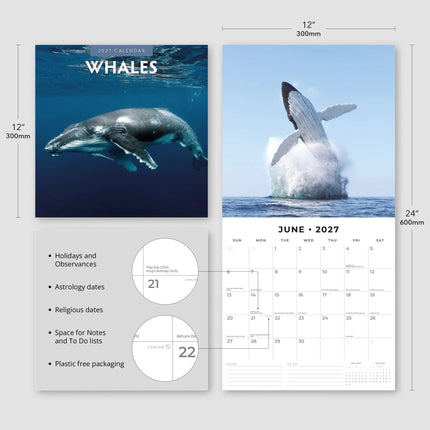 Red Robin Walvissen Kalender 2027