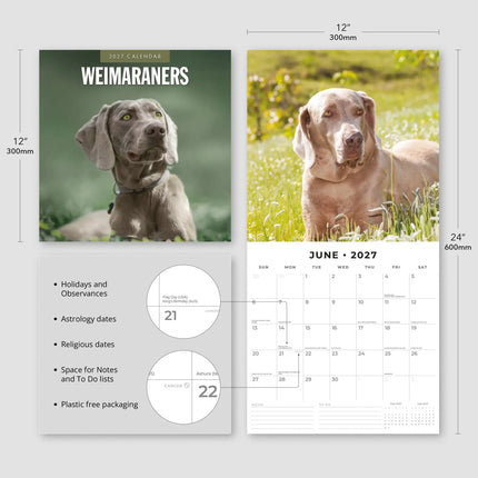 Red Robin Weimaraner Kalender 2027